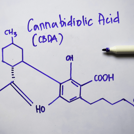 cannabidiolic acid CBDA