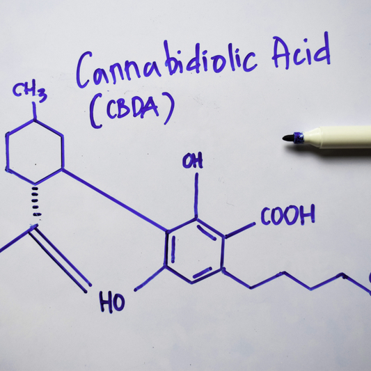 cannabidiolic acid CBDA